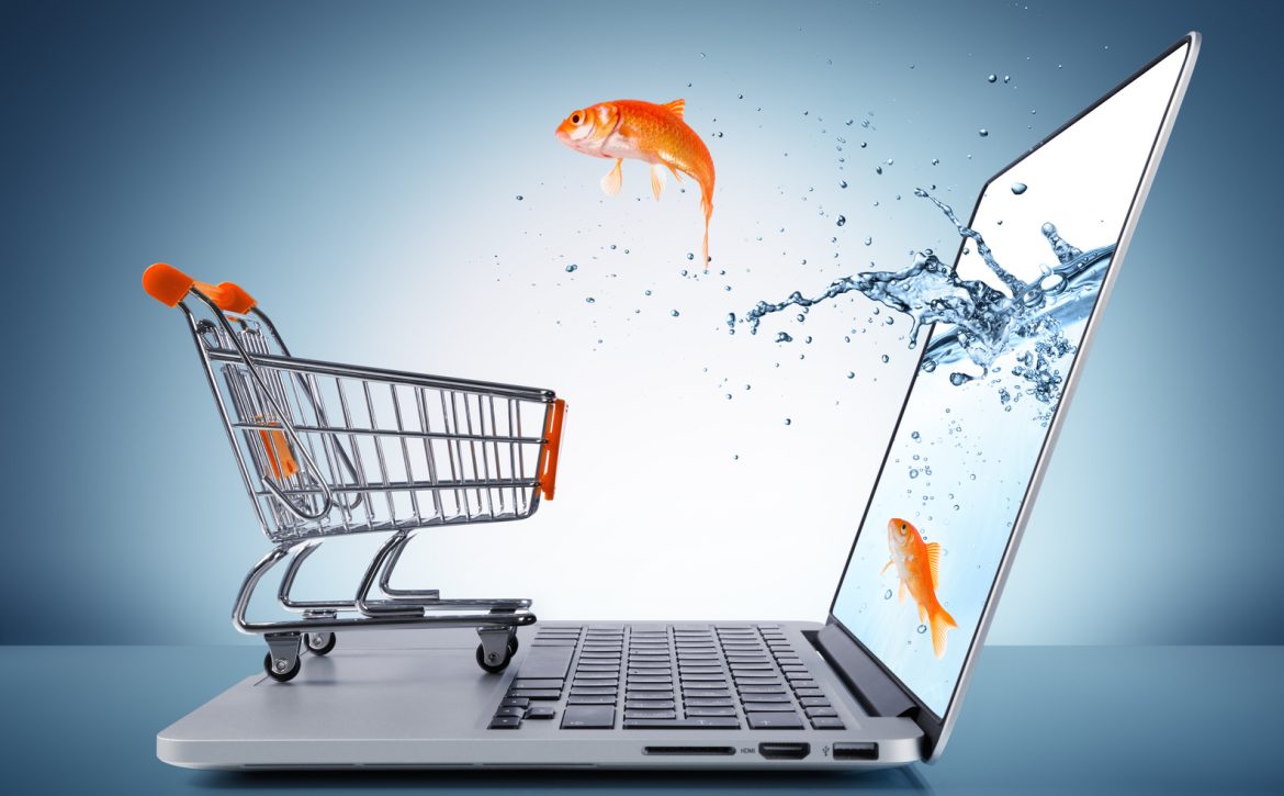 goldfish in cart - e-commerce concept