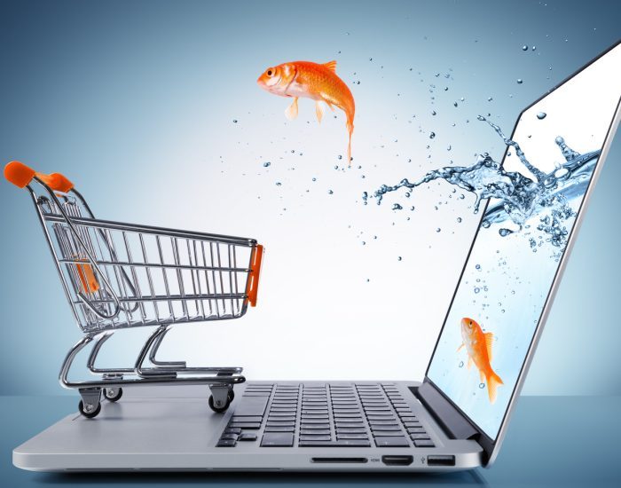 goldfish in cart - e-commerce concept